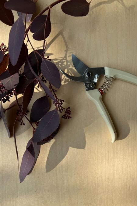 pruner2